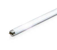 Leuchtstofflampe